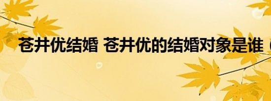 苍井优结婚 苍井优的结婚对象是谁（图）