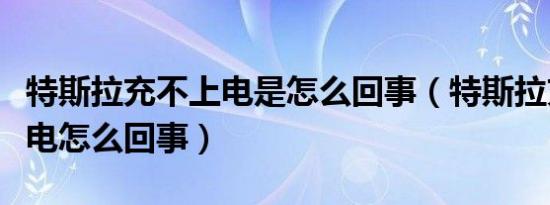 特斯拉充不上电是怎么回事（特斯拉充不进去电怎么回事）