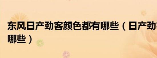 东风日产劲客颜色都有哪些（日产劲客颜色有哪些）