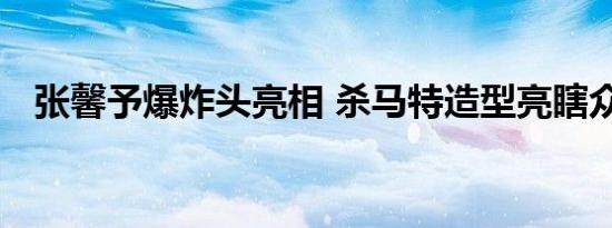 张馨予爆炸头亮相 杀马特造型亮瞎众人眼