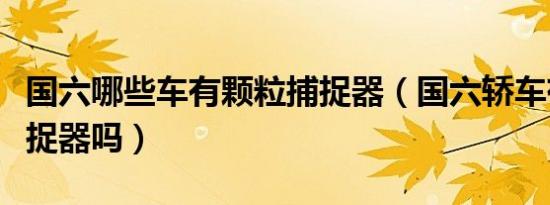 国六哪些车有颗粒捕捉器（国六轿车有颗粒捕捉器吗）