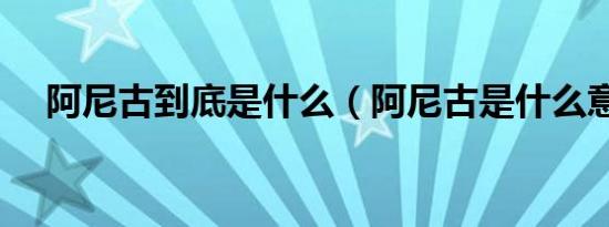 阿尼古到底是什么（阿尼古是什么意思）