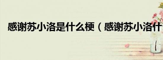 感谢苏小洛是什么梗（感谢苏小洛什么梗）