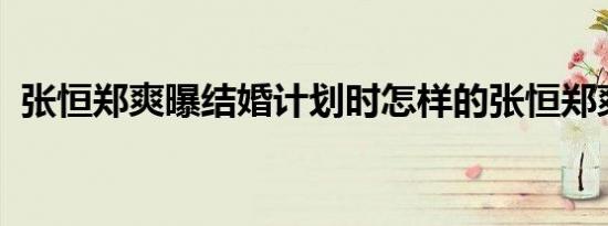 张恒郑爽曝结婚计划时怎样的张恒郑爽简介