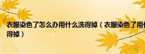 衣服染色了怎么办用什么洗得掉（衣服染色了用什么可以洗得掉）