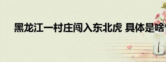 黑龙江一村庄闯入东北虎 具体是啥情况