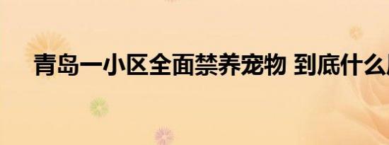 青岛一小区全面禁养宠物 到底什么原因