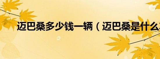 迈巴桑多少钱一辆（迈巴桑是什么车）