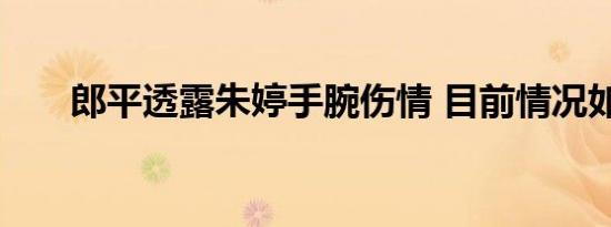 郎平透露朱婷手腕伤情 目前情况如何