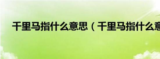 千里马指什么意思（千里马指什么意思）