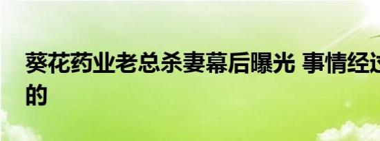 葵花药业老总杀妻幕后曝光 事情经过是怎样的