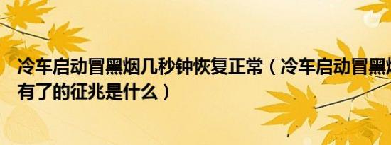 冷车启动冒黑烟几秒钟恢复正常（冷车启动冒黑烟一会就没有了的征兆是什么）