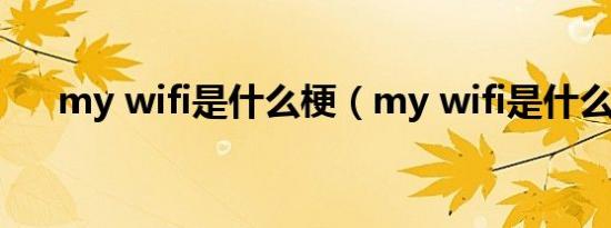my wifi是什么梗（my wifi是什么梗）
