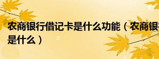 农商银行借记卡是什么功能（农商银行借记卡是什么）