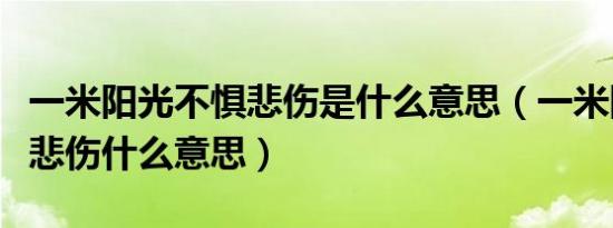 一米阳光不惧悲伤是什么意思（一米阳光不惧悲伤什么意思）