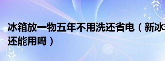 冰箱放一物五年不用洗还省电（新冰箱放五年还能用吗）