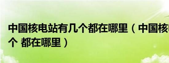 中国核电站有几个都在哪里（中国核电站有几个 都在哪里）