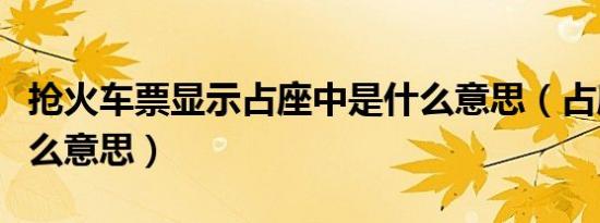 抢火车票显示占座中是什么意思（占座中是什么意思）