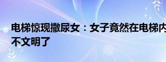 电梯惊现撒尿女：女子竟然在电梯内小便 太不文明了