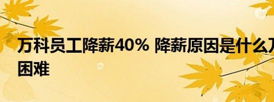 万科员工降薪40% 降薪原因是什么万科遭遇困难