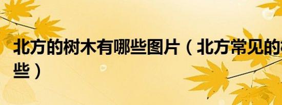 北方的树木有哪些图片（北方常见的树木有哪些）
