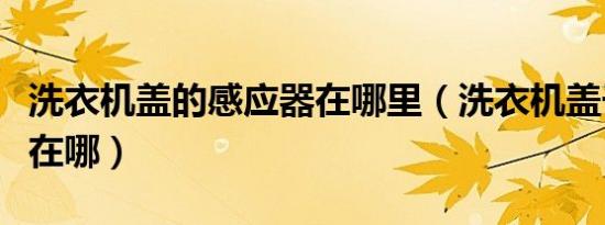 洗衣机盖的感应器在哪里（洗衣机盖子感应器在哪）