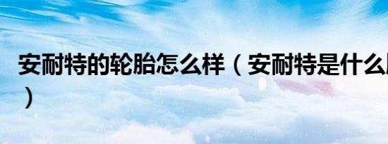 安耐特的轮胎怎么样（安耐特是什么牌子轮胎）