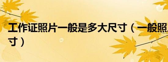 工作证照片一般是多大尺寸（一般照片多大尺寸）