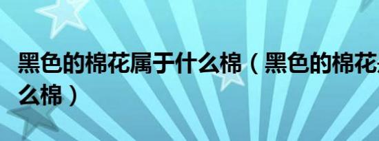 黑色的棉花属于什么棉（黑色的棉花是属于什么棉）