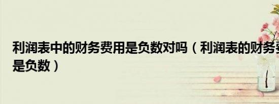 利润表中的财务费用是负数对吗（利润表的财务费用为什么是负数）