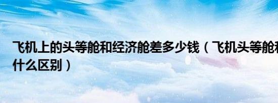 飞机上的头等舱和经济舱差多少钱（飞机头等舱和经济舱有什么区别）