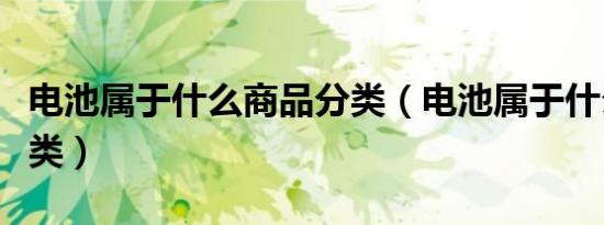 电池属于什么商品分类（电池属于什么商品分类）