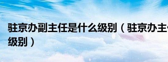 驻京办副主任是什么级别（驻京办主任是什么级别）