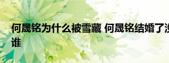 何晟铭为什么被雪藏 何晟铭结婚了没老婆是谁
