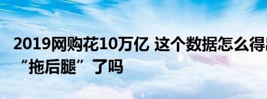2019网购花10万亿 这个数据怎么得出来的你“拖后腿”了吗