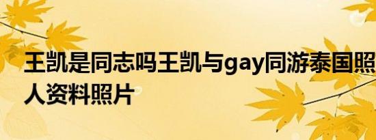 王凯是同志吗王凯与gay同游泰国照 王凯个人资料照片