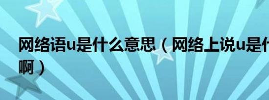 网络语u是什么意思（网络上说u是什么意思啊）