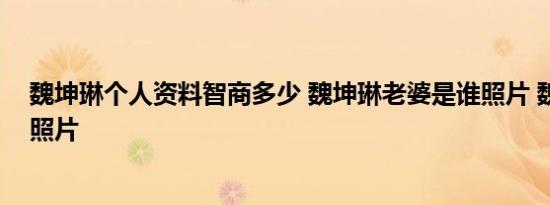魏坤琳个人资料智商多少 魏坤琳老婆是谁照片 魏坤琳女儿照片
