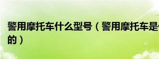 警用摩托车什么型号（警用摩托车是什么品牌的）