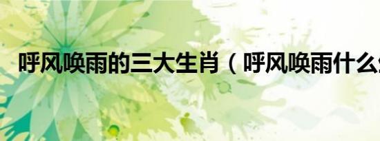 呼风唤雨的三大生肖（呼风唤雨什么生肖）
