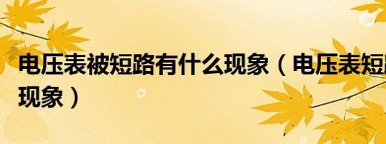 电压表被短路有什么现象（电压表短路有什么现象）