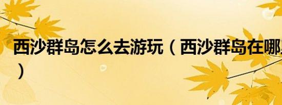 西沙群岛怎么去游玩（西沙群岛在哪里怎么去）