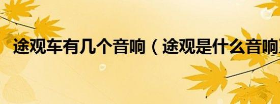 途观车有几个音响（途观是什么音响系统）