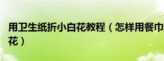 用卫生纸折小白花教程（怎样用餐巾纸折小白花）
