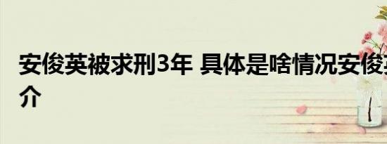安俊英被求刑3年 具体是啥情况安俊英资料简介