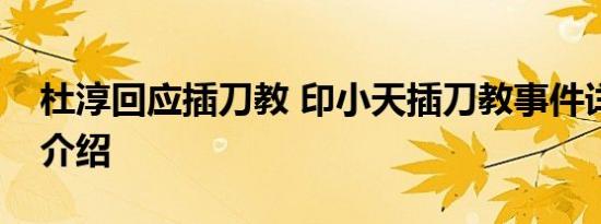 杜淳回应插刀教 印小天插刀教事件详情始末介绍