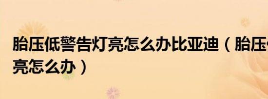 胎压低警告灯亮怎么办比亚迪（胎压低警告灯亮怎么办）