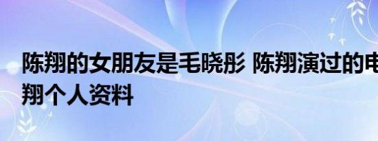 陈翔的女朋友是毛晓彤 陈翔演过的电视剧 陈翔个人资料