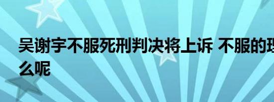 吴谢宇不服死刑判决将上诉 不服的理由是什么呢