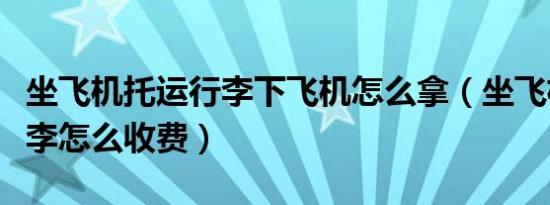 坐飞机托运行李下飞机怎么拿（坐飞机托运行李怎么收费）